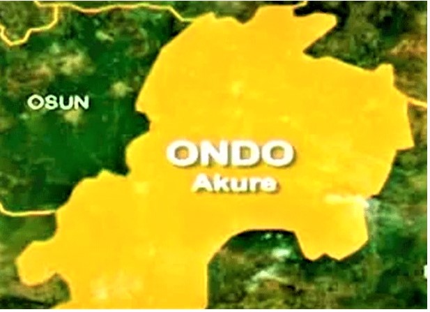 After Lassa fever kills two, affected Ondo communities embrace hygiene, launch war against rats After Lassa fever kills two, affected Ondo communities embrace hygiene, launch war against rats