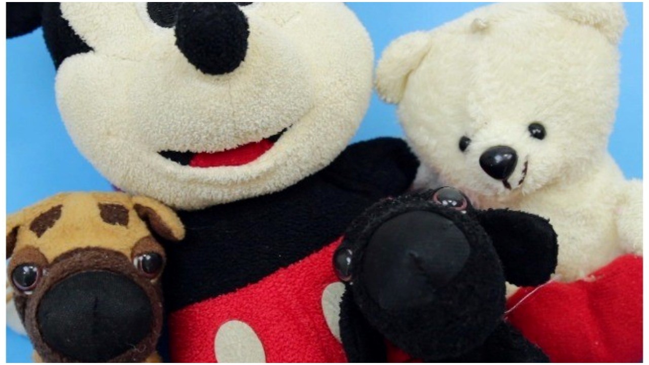 Teddy bears dangerous to children, can cause serious health problems, death, paediatrician warns Teddy bears dangerous to children, can cause serious health problems, death, paediatrician warns