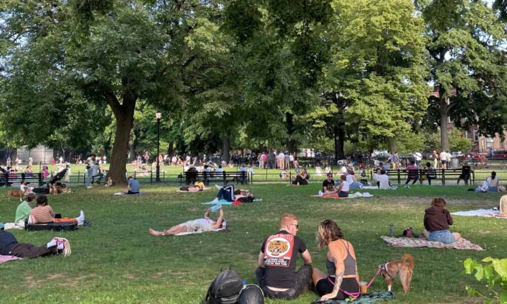 A BedStuy Tale of Gentrification Hayti News, Videos and Podcasts from Black Publishers