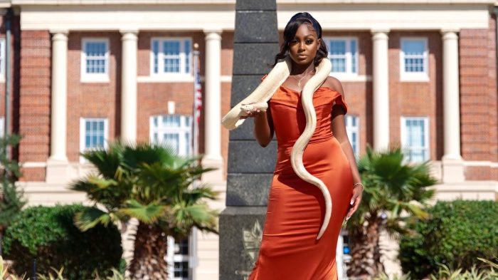 For HBCU grads, elaborate fashions and photoshoots are par for the culture From a python to sneakers, today’s graduation pictures are capturing style, personality and dollars For HBCU grads, elaborate fashions and photoshoots are par for the culture From a python to sneakers, today’s graduation pictures are capturing style, personality and dollars