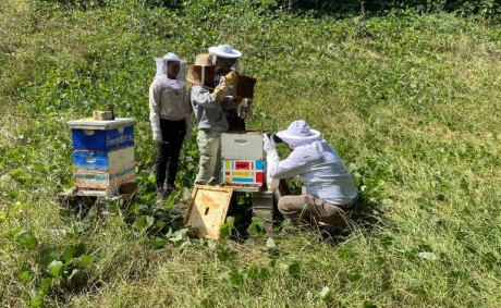 JCSU Resident Beekeeper Teaches Students Life Lessons From Bee Colonies JCSU Resident Beekeeper Teaches Students Life Lessons From Bee Colonies
