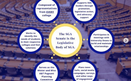 Recap of the Senate Advocacy Day Recap of the Senate Advocacy Day